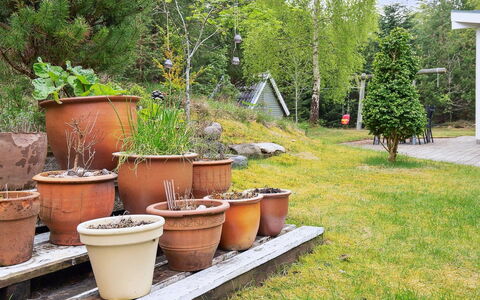 Seraphina - 2Km from the Sea: Vert, Pot De Fleur, Arbuste, Jardin, Plante D'Appartement, Arrière-Cour, Poterie, Cour