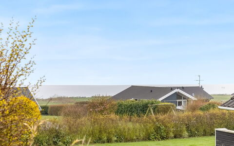 Hera - 200M from the Sea: Communauté Des Plantes, Lumière Du Soleil, Plante Herbacée, Jardin, Plantation, Agriculture, Ferme