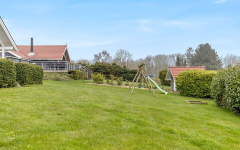 Hera - 200M from the Sea: Communauté Des Plantes, Lumière Du Soleil, Plante Herbacée, Jardin, Plantation, Agriculture, Ferme