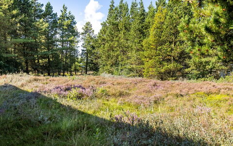 Maija - 1.4Km from the Sea: Chalet, Cabanon, Cabane, Ferme, Prairie, Cabane, Grange, Cabane En Rondins, Batiments Jardin