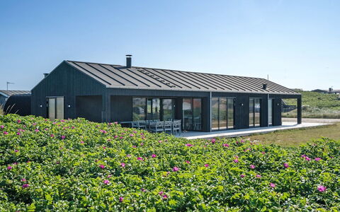 Aiko - 50M from the Sea: Communauté Des Plantes, Lumière Du Soleil, Plante Herbacée, Jardin, Plantation, Agriculture, Ferme