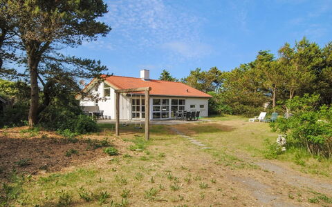 Konrad - 400M from the Sea: Communauté Des Plantes, Lumière Du Soleil, Plante Herbacée, Jardin, Plantation, Agriculture, Ferme