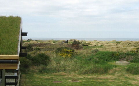 Maini - 600M from the Sea: Herbe, Prairie, Végétation, Écorégion, Nuage, Plaine, Paysage, Lot Terre, Communauté Des Plantes, Pâturage
