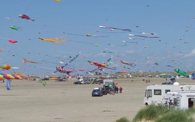 Halina - 100M from the Sea