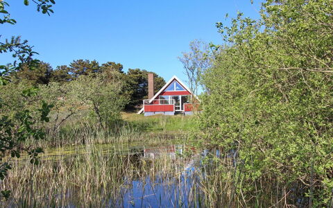 Piotr - 800M from the Sea: Herbe, Paysage Naturel, Prairie, Le Marais, Chalet, Prairie, Prairie