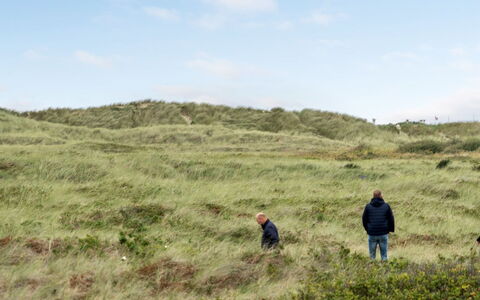 Betti - 300M from the Sea: Herbe, Maison, Toit, Domicile, Chalet, Arbuste, Lot Terre, Zone Rurale, Ferme, Couverture De Sol