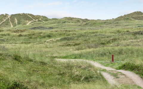 Betti - 300M from the Sea: Herbe, Maison, Toit, Domicile, Chalet, Arbuste, Lot Terre, Zone Rurale, Ferme, Couverture De Sol