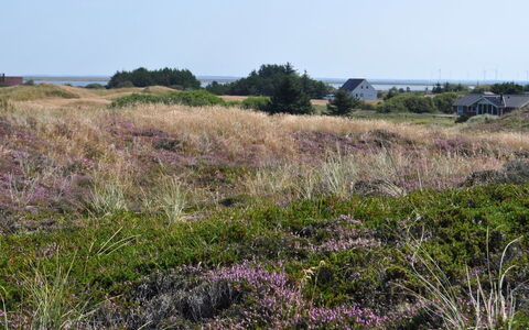 Arli - 800M from the Sea: Chalet, Cabanon, Cabane, Ferme, Prairie, Cabane, Grange, Cabane En Rondins, Batiments Jardin