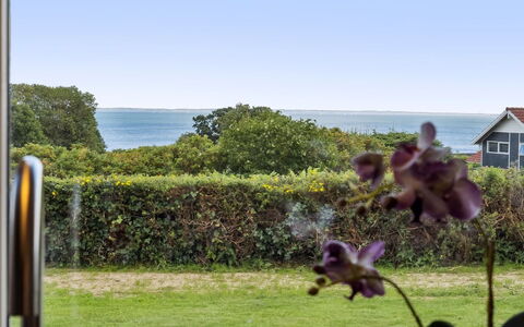 Aarne - 300M from the Sea: Herbe, Maison, Toit, Chalet, Domicile, Arbuste, Ferme, Lot Terre, Zone Rurale