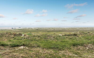 Anedorte - 50M from the Sea
