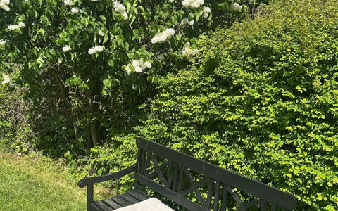 Stygge - 400M from the Sea: Feuille, Arbuste, Jardin, Couverture De Sol, Printemps, Suppression Des Plantes Ligneuses, Plante À Fleurs, Ombre, Aménagement Paysager