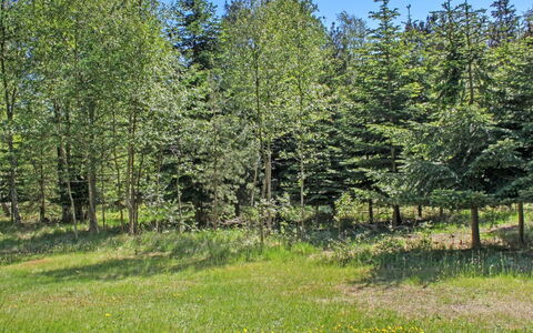 Gerarda - 4Km from the Sea: Vert, Arbre, Environnement Naturel, Feuille, Arbuste, Prairie, Communauté Des Plantes, Lot Terre, Forêt