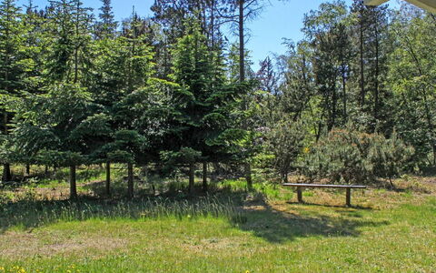 Gerarda - 4Km from the Sea: Arbre, Vert, Arbuste, Prairie, Pâturage, Mélèze, Des Bois, À Feuilles Persistantes