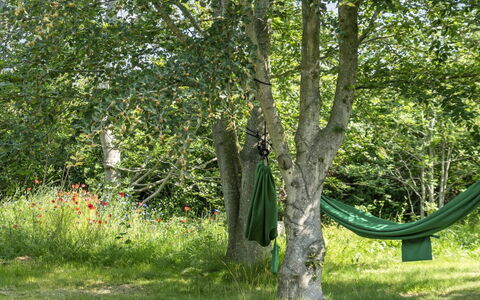 Leevi - 150M from the Sea: Vert, Feuille, Tronc, Couverture De Sol, Suppression Des Plantes Ligneuses, Printemps, Pelouse, Ombre, Jardin, Des Bois