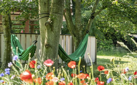 Leevi - 150M from the Sea: Vert, Feuille, Été, Jardin, Arbuste, Pelouse, Printemps, Couverture De Sol, Tronc