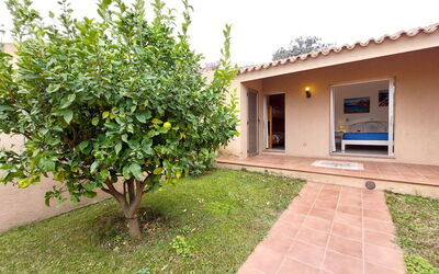 Logement:&nbsp;Ferula 650.2