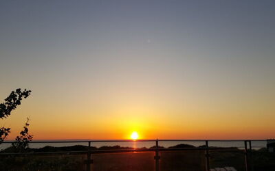 Brun - 60M from the Sea