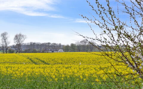 Malfred - 500M from the Sea: Communauté Des Plantes, Lumière Du Soleil, Plante Herbacée, Jardin, Plantation, Agriculture, Ferme