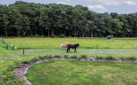 Familieboerderij: L'Eau, Bâtiment, Nuage, Plante, Jour, Propriété, Piscine, Ciel, Fenêtre, Bleu Azur