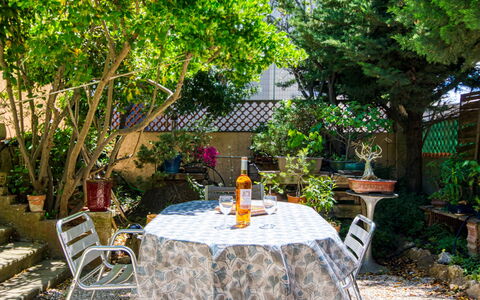 Mimosa: Plante, Table, Meubles, Propriété, Chaise, Feuille, Botanique, Tableau De Plein Air, Fenêtre, Mobilier De Jardin