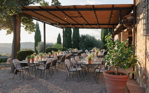 Villa Sulle Crete: Plante, Table, Meubles, Propriété, Pot De Fleur, Ombre, Chaise, Tableau De Plein Air, Arbre, Mobilier De Jardin