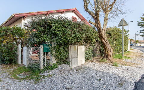 Iena: Bâtiment, Jour, Ciel, Plante, Arbre, Arecales, Clôture, Terrestre Des Plantes, Design Urbain, Suppression Des Plantes Ligneuses