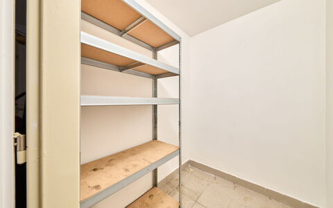 Rokytnice Nad Jizerou 556: Sol, Sol, Pièce, Plafond, Rayonnage, Tache De Bois, Contre-Plaqué, Dur, Étagère