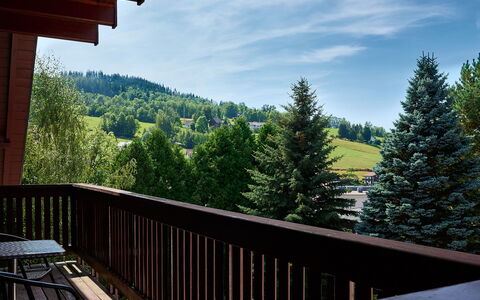 Rokytnice Nad Jizerou 556: Ciel, Nuage, Propriété, Arbre, Porche, Bois, Montagne, Mélèze, Clôture, Végétation
