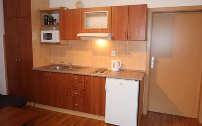 Logement:&nbsp;Horní Rokytnice 556.1
