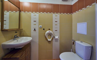 Logement:&nbsp;Horní Rokytnice 556.1