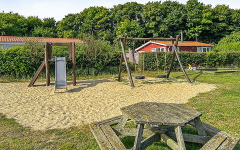 Kjera - 200M from the Sea: Communauté Des Plantes, Lumière Du Soleil, Plante Herbacée, Jardin, Plantation, Agriculture, Ferme