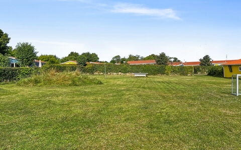 Kjera - 200M from the Sea: Communauté Des Plantes, Lumière Du Soleil, Plante Herbacée, Jardin, Plantation, Agriculture, Ferme