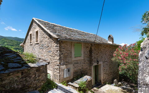 Maison Penta: Ciel, Plante, Propriété, Bâtiment, Fenêtre, Chalet, Maison, Mur, Toit, Paysage