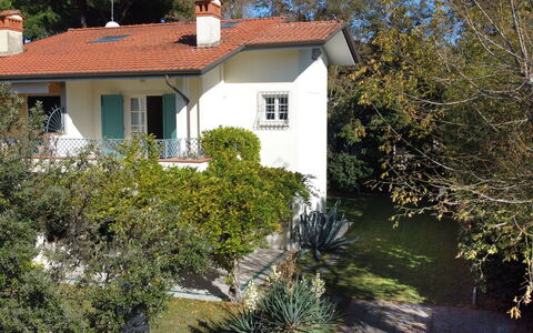 Villa Glicine: Plante, Propriété, Fenêtre, Bâtiment, Botanique, Maison, Arbre, Herbe, Lot Terre, Chalet