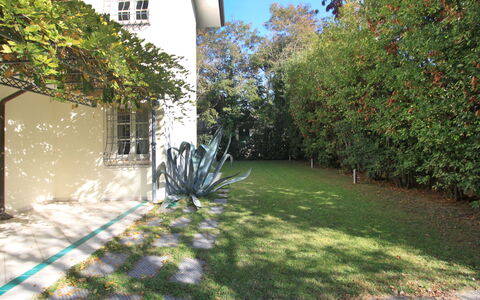 Villa Glicine: Plante, Propriété, Fenêtre, Feuille, Bâtiment, Ciel, Branche, Végétation, Lot Terre, Arbre