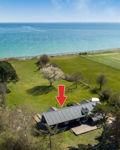 Trajko - 100M from the Sea