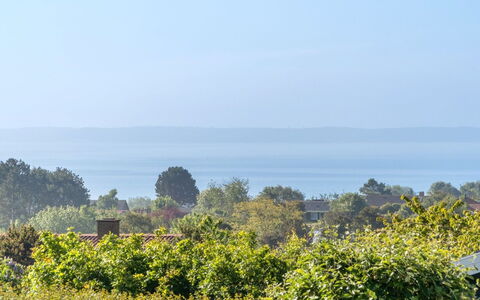Miona - 725M from the Sea: Communauté Des Plantes, Lumière Du Soleil, Plante Herbacée, Jardin, Plantation, Agriculture, Ferme