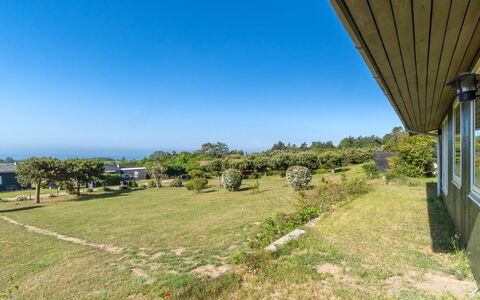 Miona - 725M from the Sea: Communauté Des Plantes, Lumière Du Soleil, Plante Herbacée, Jardin, Plantation, Agriculture, Ferme