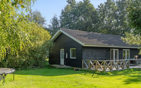Pietari - 1.2Km from the Sea: Herbe, Arbuste, Maison, Jardin, Domicile, Chalet, Lot Terre, Pelouse, Couverture De Sol