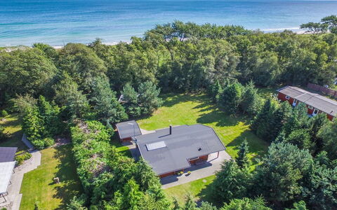 Gulborg - 25M from the Sea: Plantation, Aménagement Paysager, Eco Hôtel