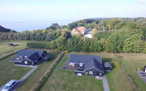 Miika - 100M from the Sea: Communauté Des Plantes, Lumière Du Soleil, Plante Herbacée, Jardin, Plantation, Agriculture, Ferme