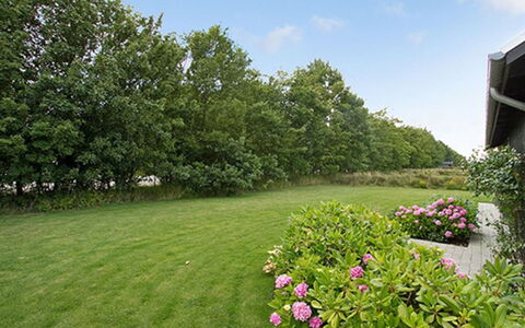 Miika - 100M from the Sea: Communauté Des Plantes, Lumière Du Soleil, Plante Herbacée, Jardin, Plantation, Agriculture, Ferme