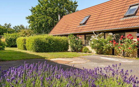 Redlef - 9Km from the Sea: Arbuste, Jardin, Domicile, Chalet, Couverture De Sol, Printemps, Ferme, Aménagement Paysager, Pelouse
