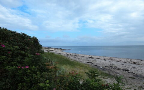 Amy - 150M from the Sea: Ciel, Bleu, Horizon, Nuage, Côte, Plage, Mer, Cotiers Et Relief Océaniques, Été