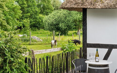 Maileen - 2.1Km to the Fjord: Bleu, Arbuste, Chalet, Couverture De Sol, Jardin, Biens, Ombre, Aménagement Paysager, Ferme, Eco Hôtel