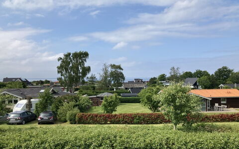 Eike - 250M from the Sea: Communauté Des Plantes, Lumière Du Soleil, Plante Herbacée, Jardin, Plantation, Agriculture, Ferme