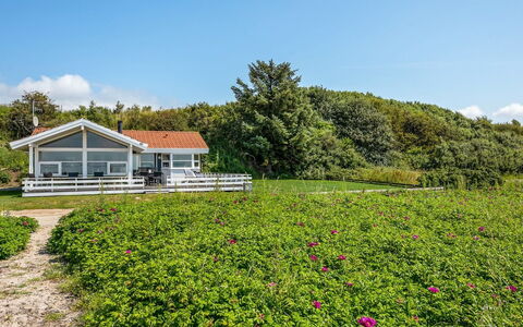 Arnwith - 20M from the Sea: Fleur, Arbuste, Nuage, Couverture De Sol, Printemps, Chalet, Jardin, Plante À Fleurs, Prairie