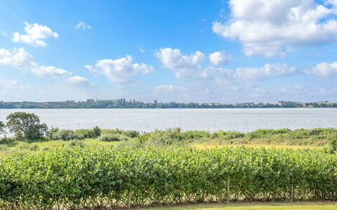 Rathi - 250M from the Sea: Communauté Des Plantes, Lumière Du Soleil, Plante Herbacée, Jardin, Plantation, Agriculture, Ferme