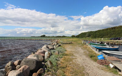 Wrage - 500M from the Sea