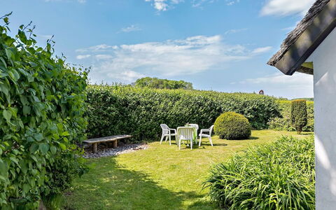 Ajo - 2Km from the Sea: Vert, Herbe, Arbuste, Jardin, Lot Terre, Haie, Couverture De Sol, Pelouse, Aménagement Paysager